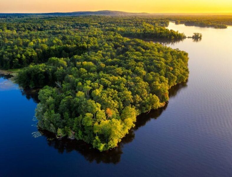 Amazonia
