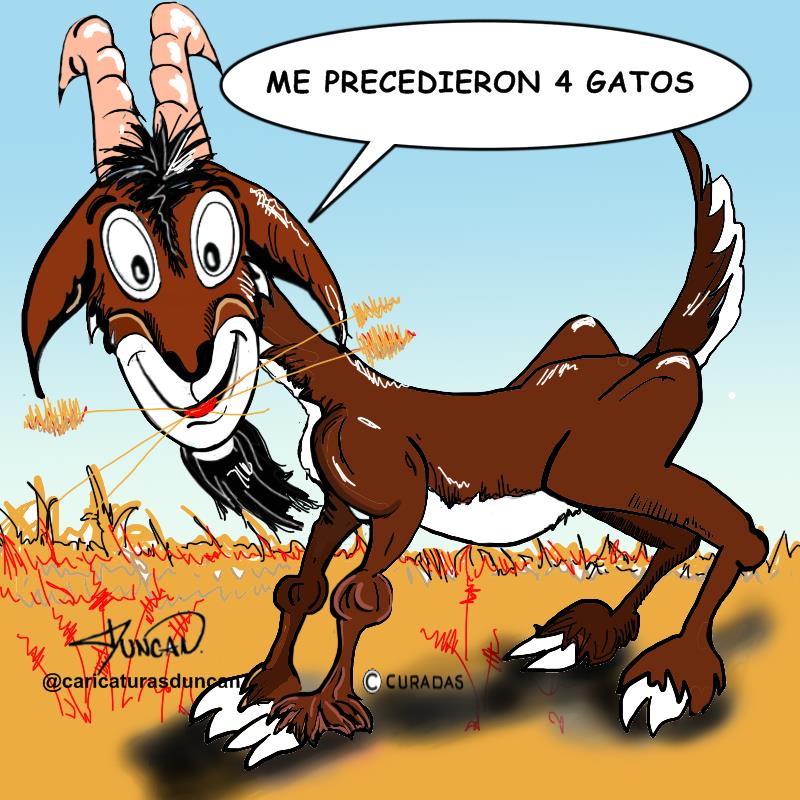 Me precedieron cuatro gatos - Caricatura de Duncan