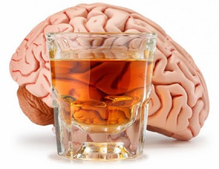 Conoce en qué edades sufre más el cerebro por el consumo de alcohol