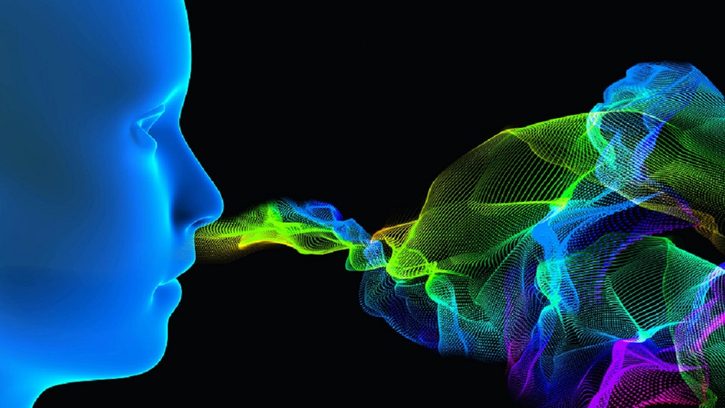 Salud: pruebas de olfato podrían ayudar a detectar y contener la covid-19