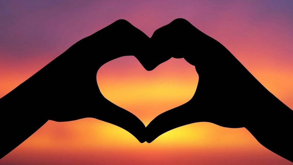 Amor