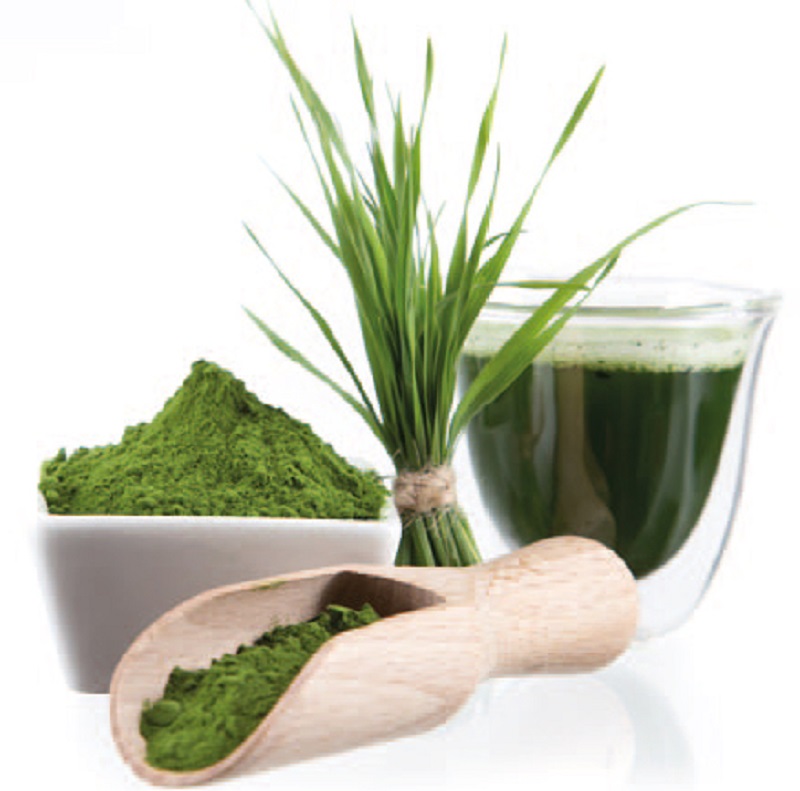 Boom en México por el superalimento de los aztecas, la espirulina