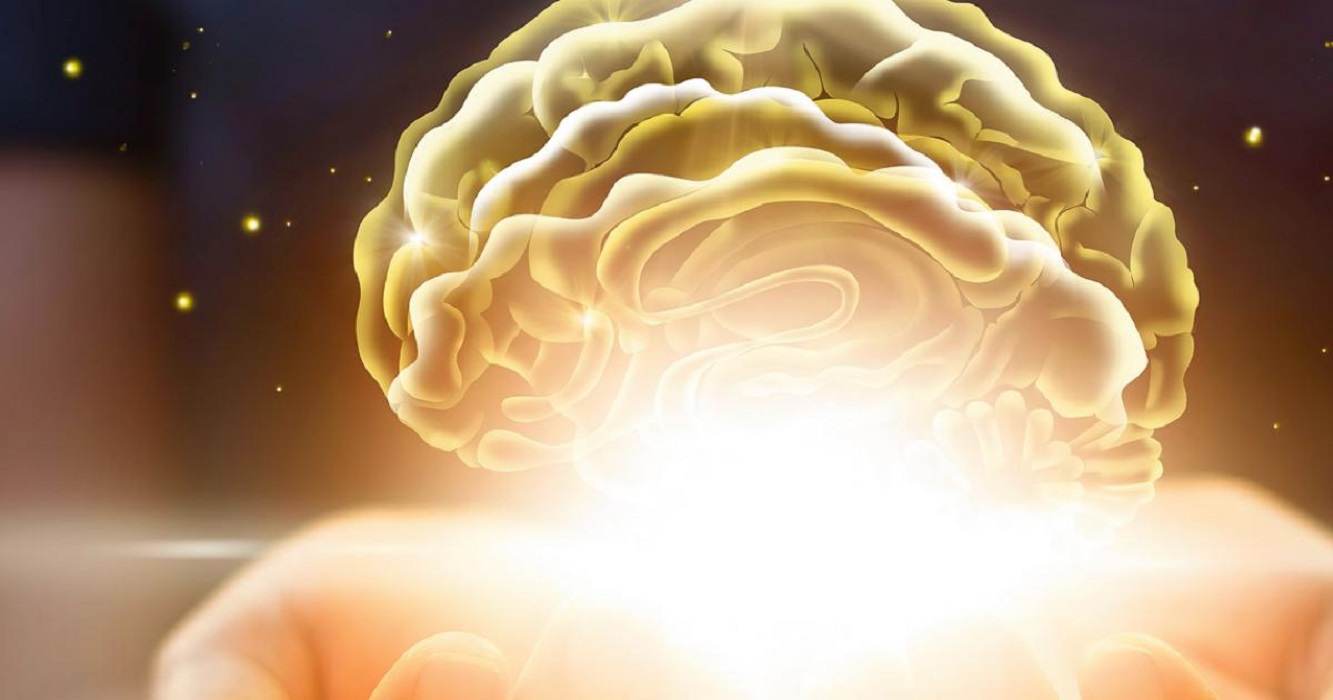 ¿Qué es la codificación predictiva cerebral?