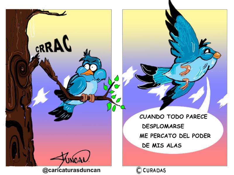 El poder de mis alas - Caricatura de Duncan