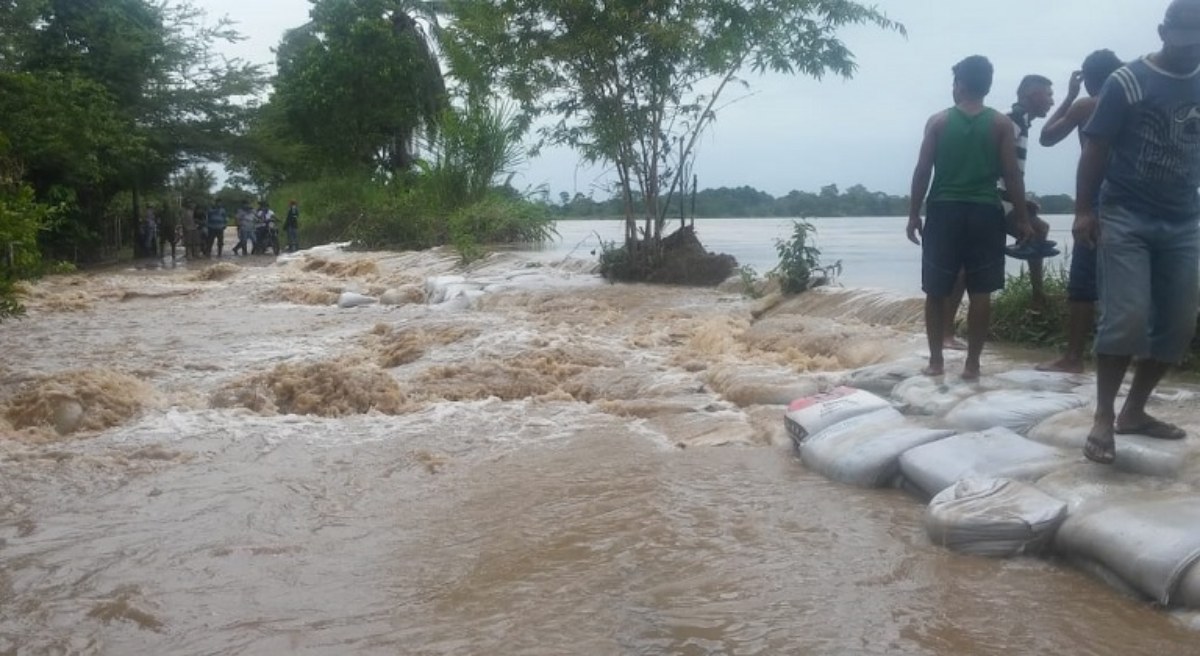 Apure