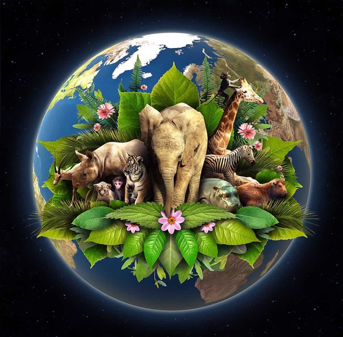 22 de abril: Día Internacional de la Madre Tierra