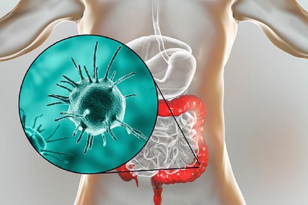 ¿Qué es y para que sirve el trasplante de microbiota fecal?