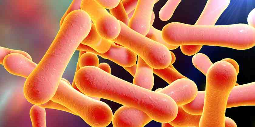 Difteria