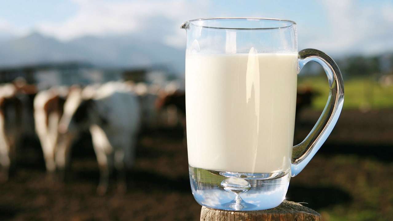 1 de junio | Día Mundial de la Leche: ¿Buena o mala para la salud?