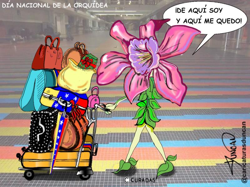 La flor nacional - Caricatura de Duncan