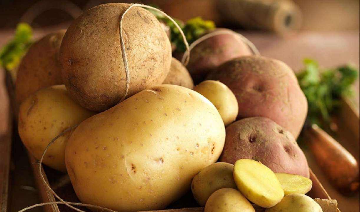 Las papas conoce estos seis beneficios para tu salud