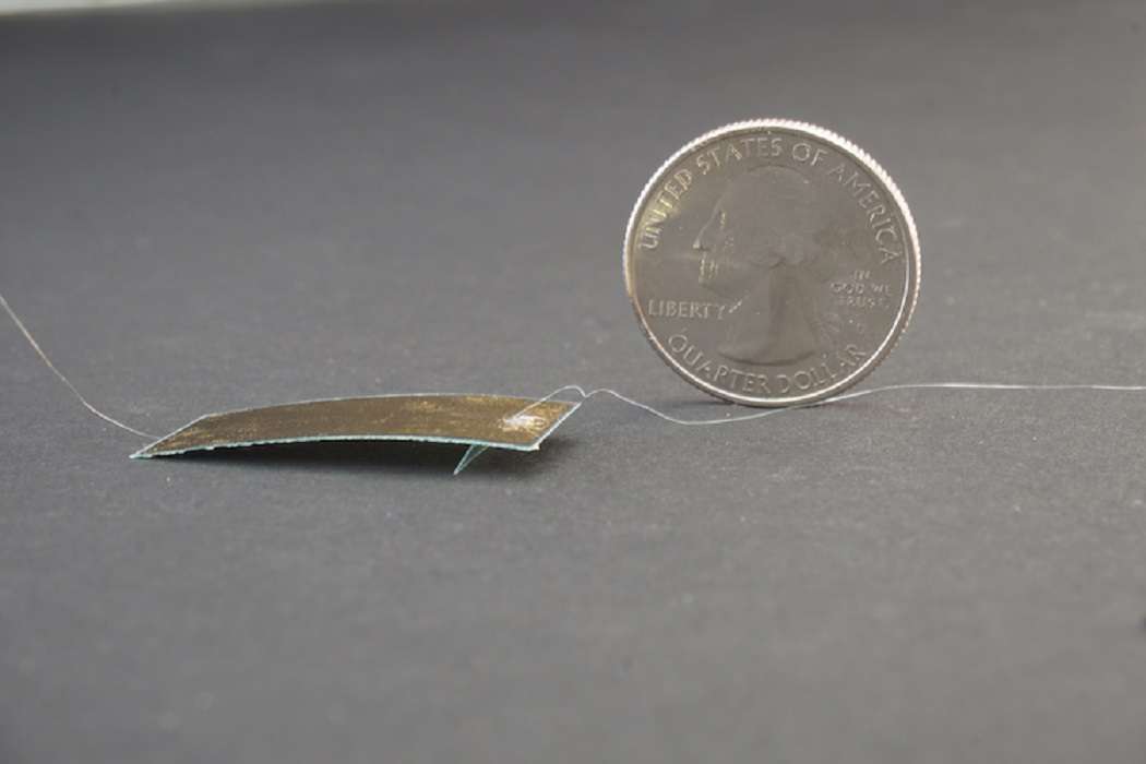 Robot-cucaracha: soporta un millón de veces su propio peso