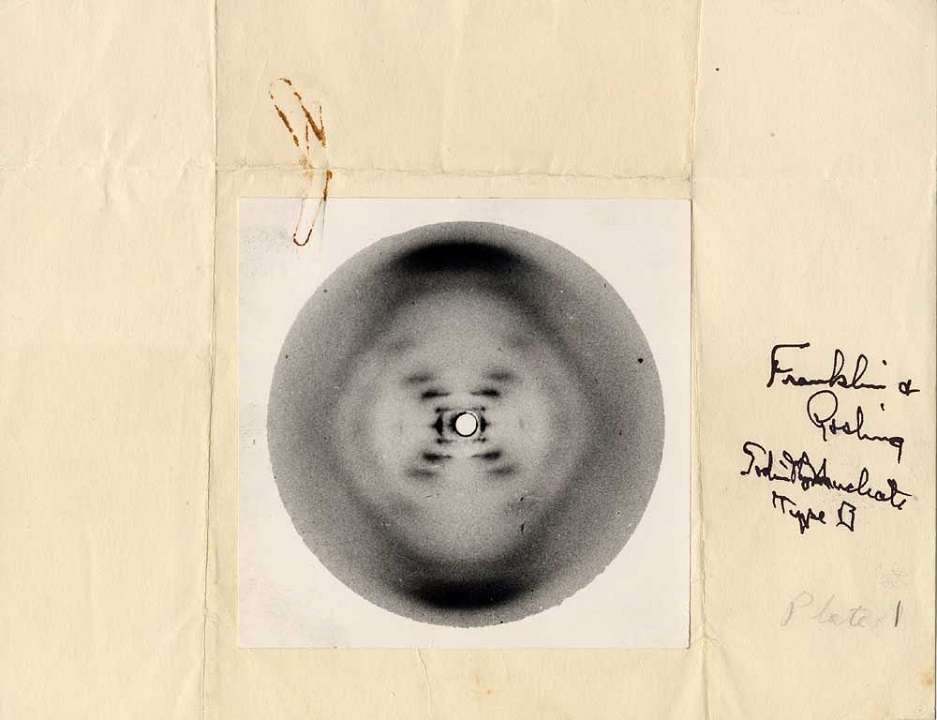 La fotografía 51: una de las imágenes más importantes de la historia