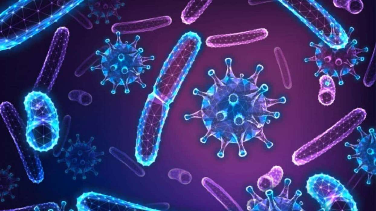 Descubre qué es la brucelosis, y cuáles son los síntomas