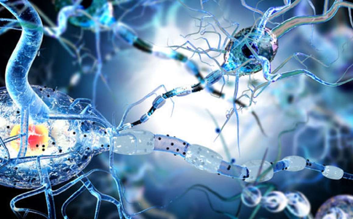 La epilepsia: conoce los sintomas y causas de esta enfermedad