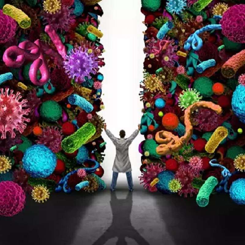 Conoce todo sobre los microorganismos que viven en tu cuerpo