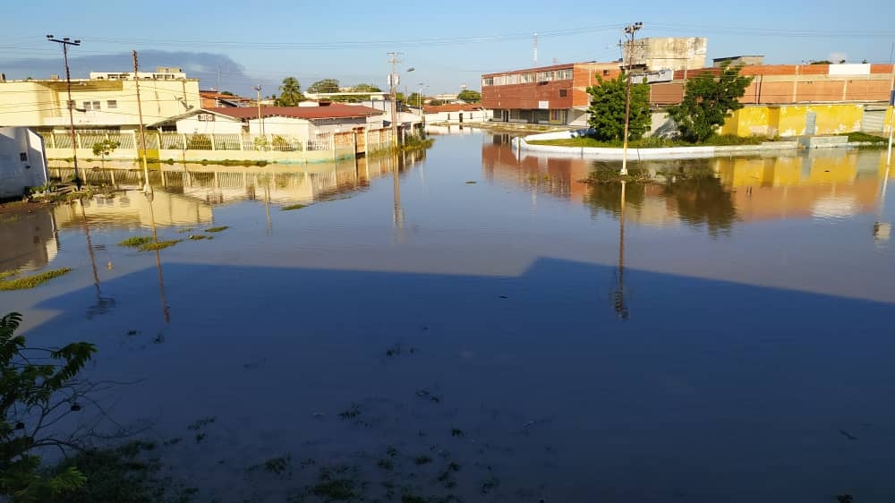 Neverí Anzoátegui