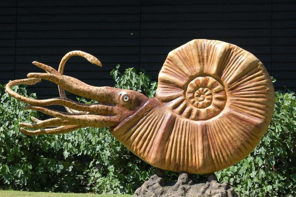 El origen de la consciencia se remonta 500 millones de años