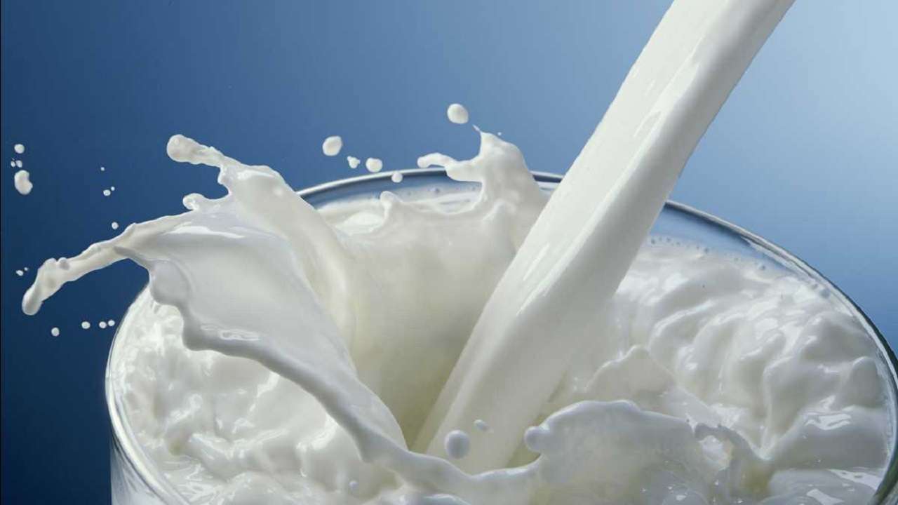 Controversia sobre la leche: ¿alimento saludable o veneno en potencia?