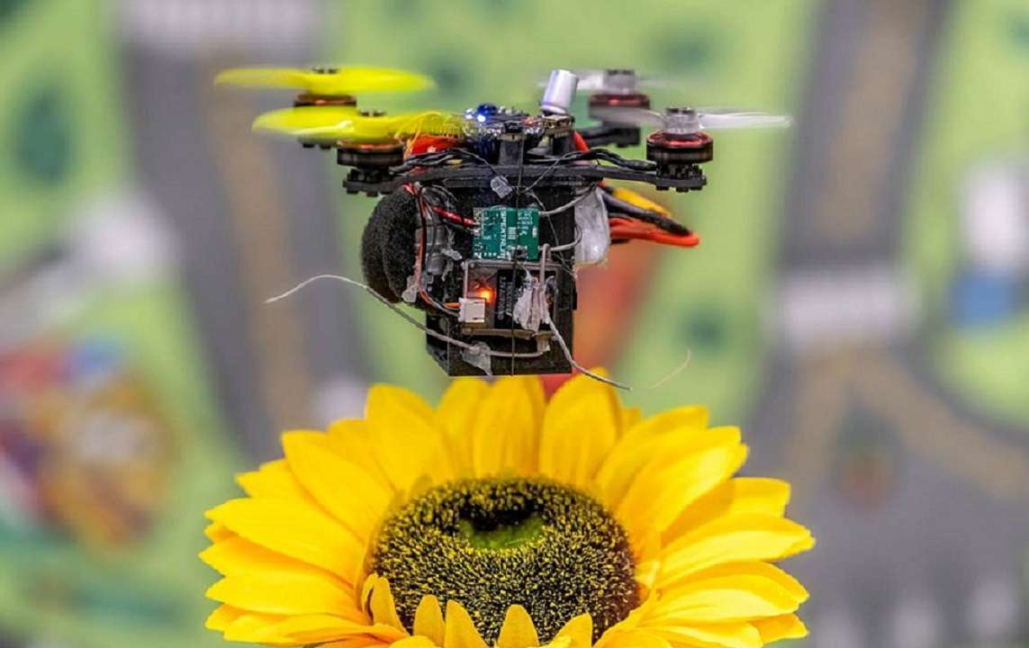 Dron polinizador es creado para reforzar el trabajo de las abejas