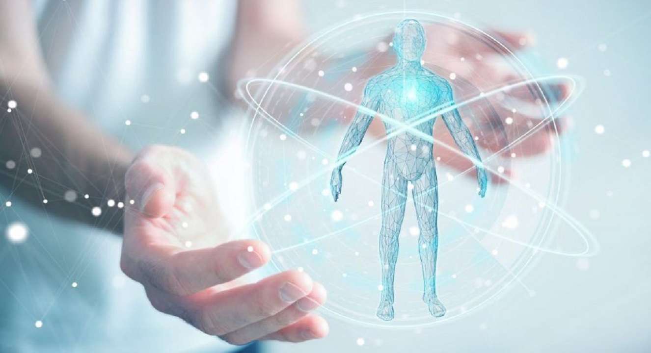 Glicocálix endotelial: conoce qué es, cómo funciona y su importancia