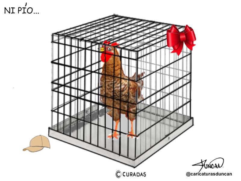 Ni pío - Caricatura de Duncan