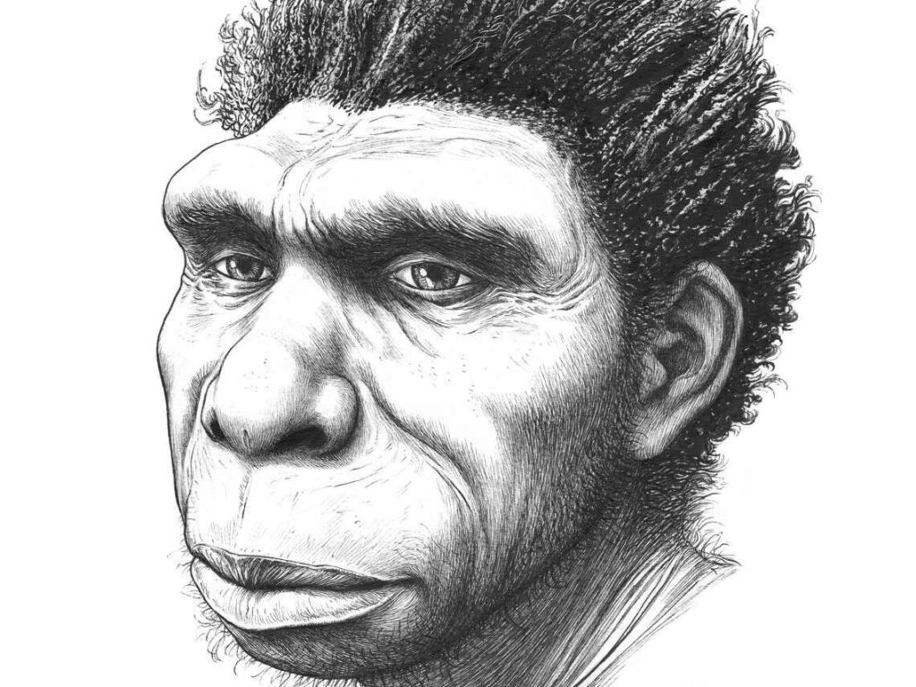 Homo bodoensis
