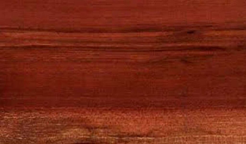 Las maderas más duras del mundo