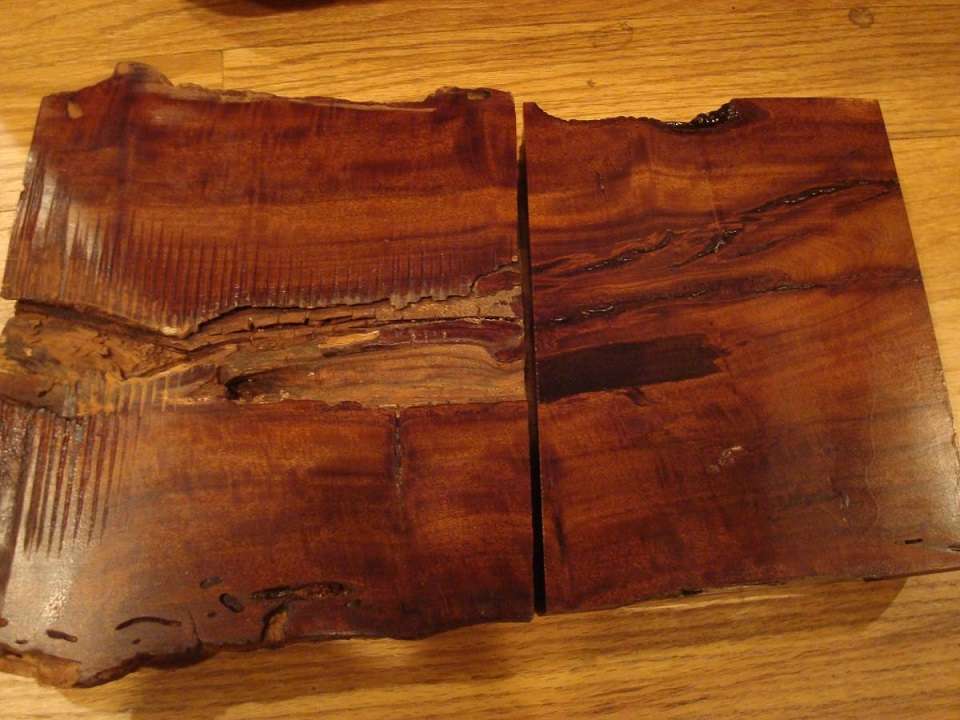 Las maderas más duras del mundo