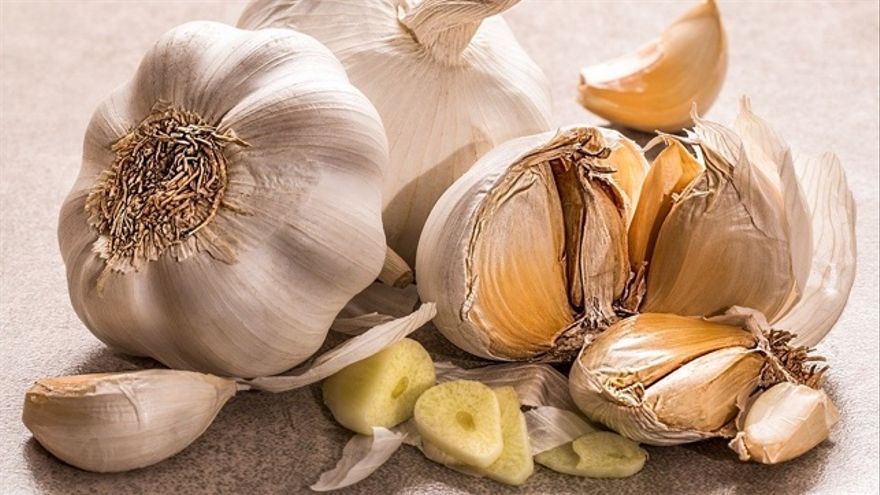 Alimentos antienvejecimiento prematuro