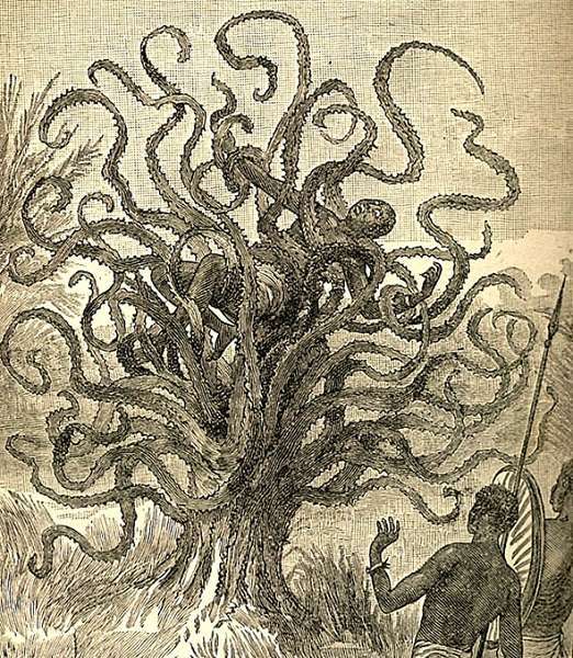 El árbol carnívoro