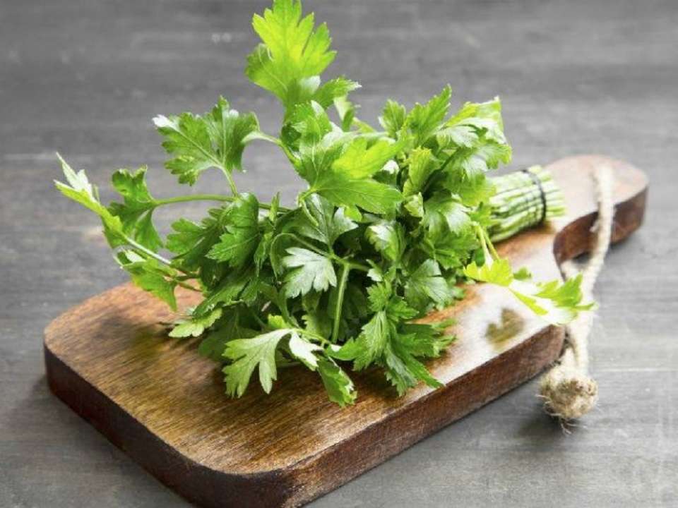 El perejil: conoce las razones para consumirlo diariamente