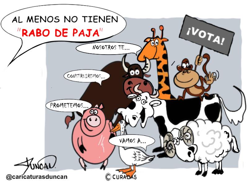 Rabo de Paja - Caricatura de Duncan