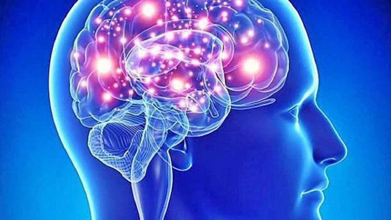 Células del cerebro: hábitos que ayudan a regenerarlas