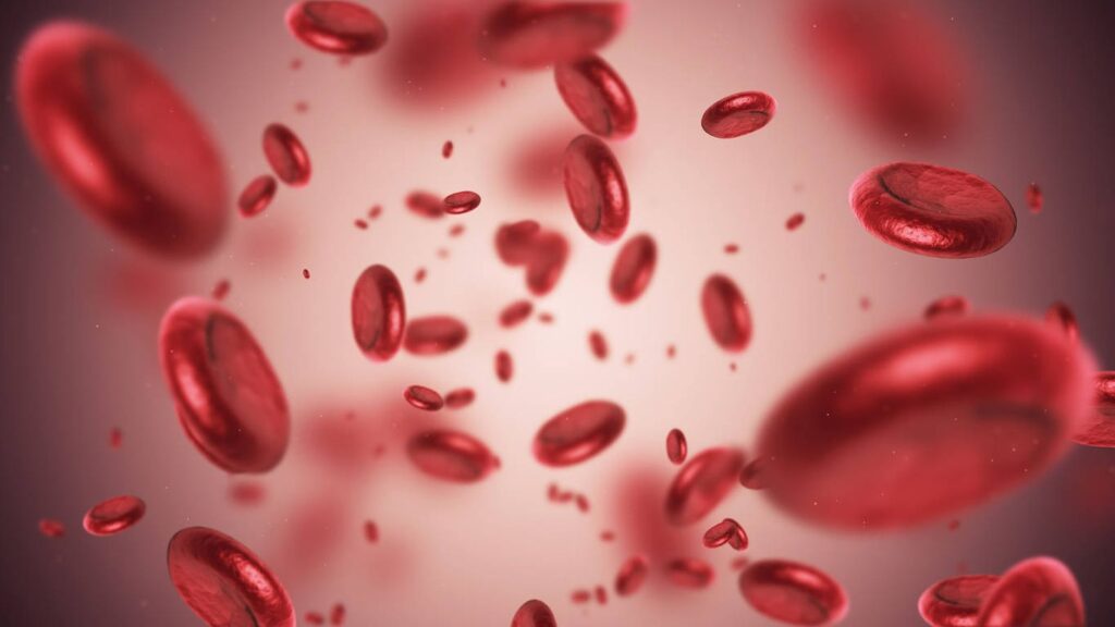 Síntomas de la anemia