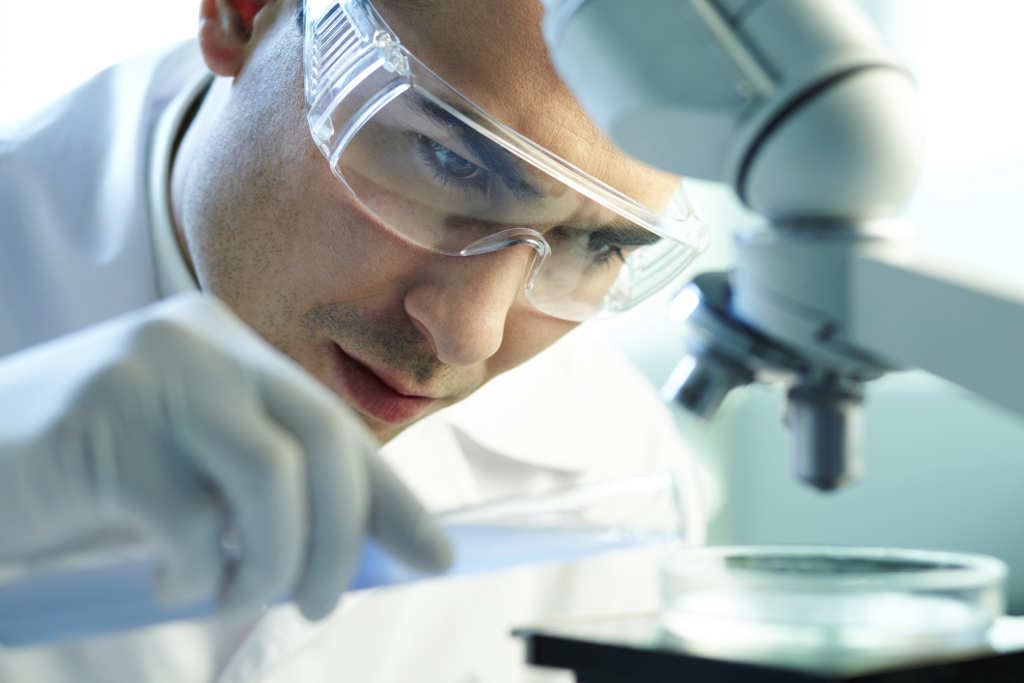 Vida en el laboratorio