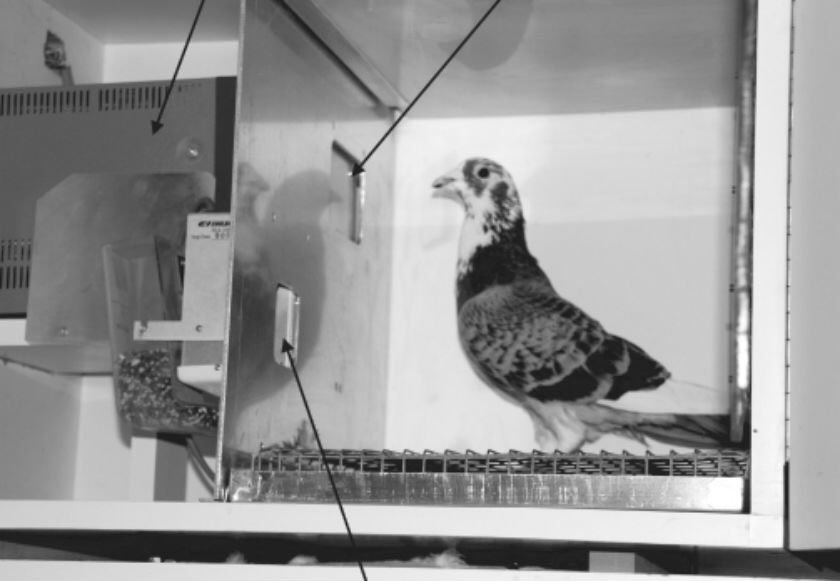 Supersticiones contra ciencia: ¿Qué son?