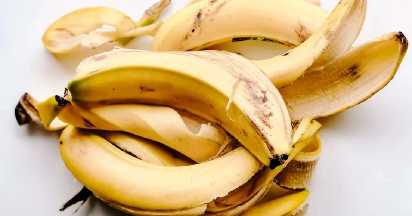 Conchas de cambur son utilizadas por científicos para obtener hidrógeno