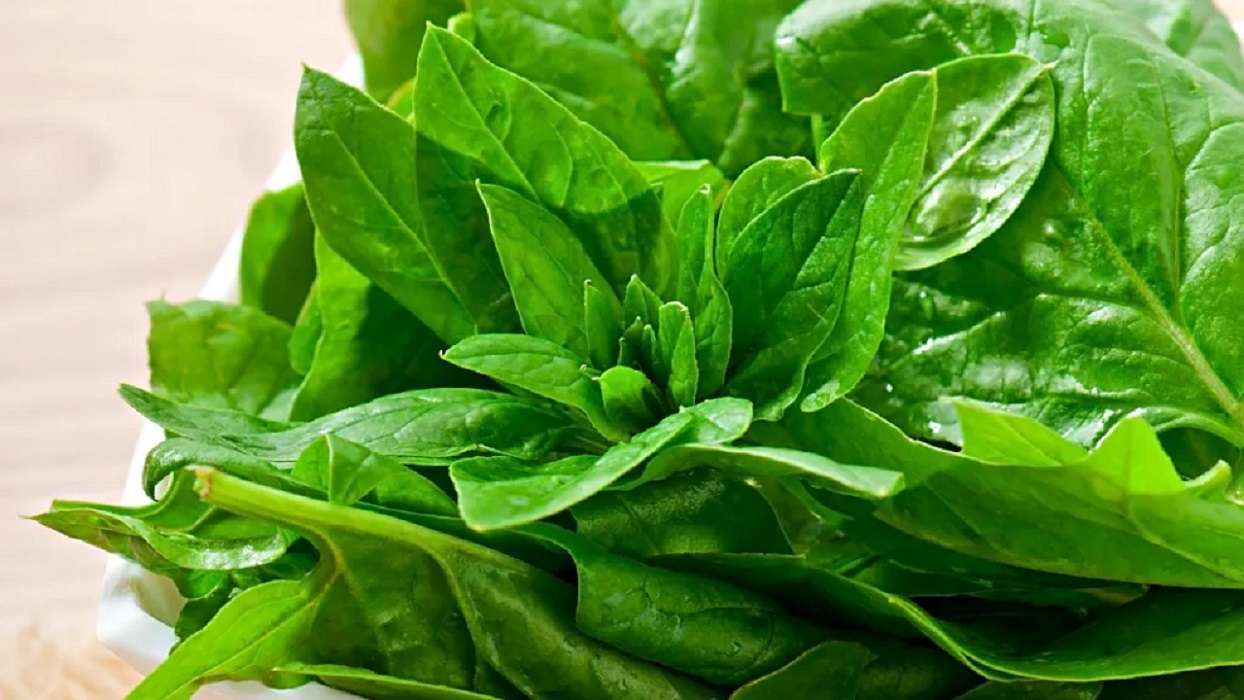 Las espinacas: conoce cuáles son los beneficios en tu dieta