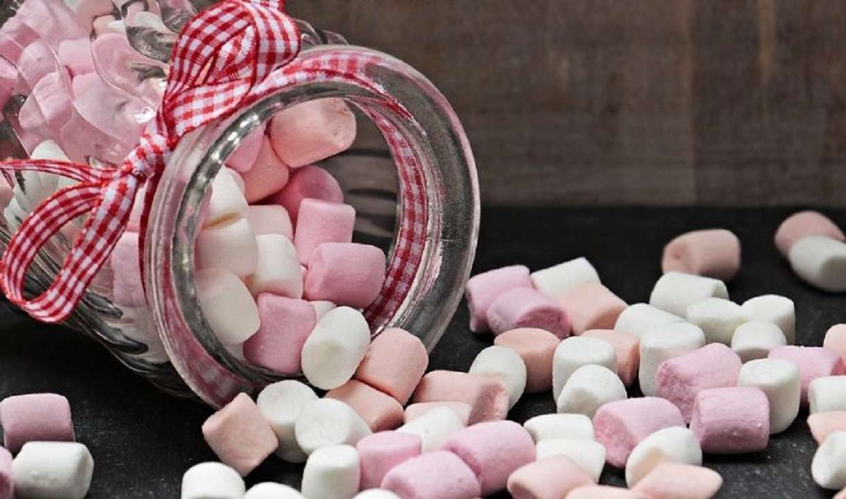 Malvaviscos caseros: un delicioso postre para los pequeños de la casa