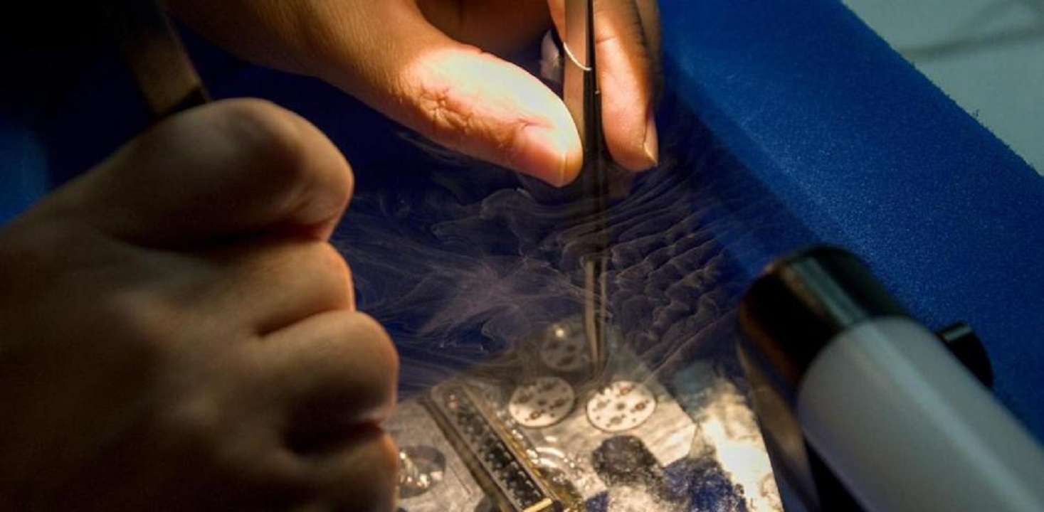 Criomicroscopio electrónico permite conocer los secretos de la vida