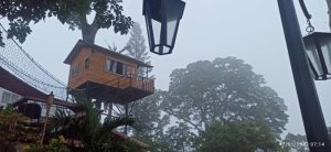 Destinos y sabores: Dormimos en una casa del árbol en Caracas (+Video)