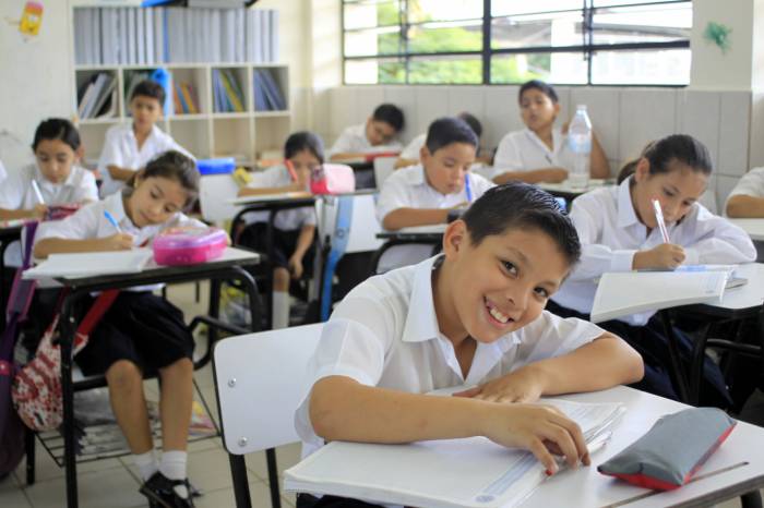 Fin de la educación