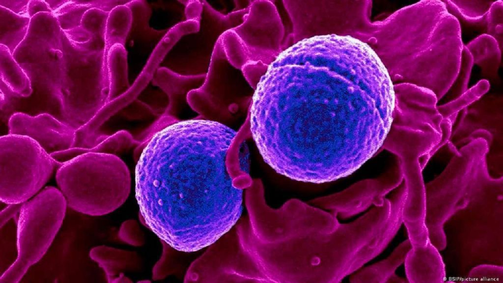 Antibióticos: el uso excesivo influye en el aumento de las superbacterias