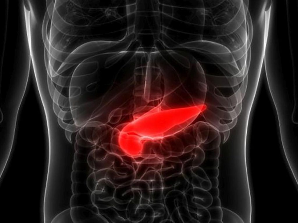 Diabetes 2 e insulina