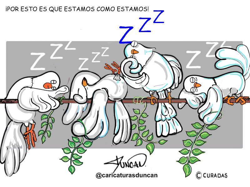 La bella durmiente - Caricatura de Duncan