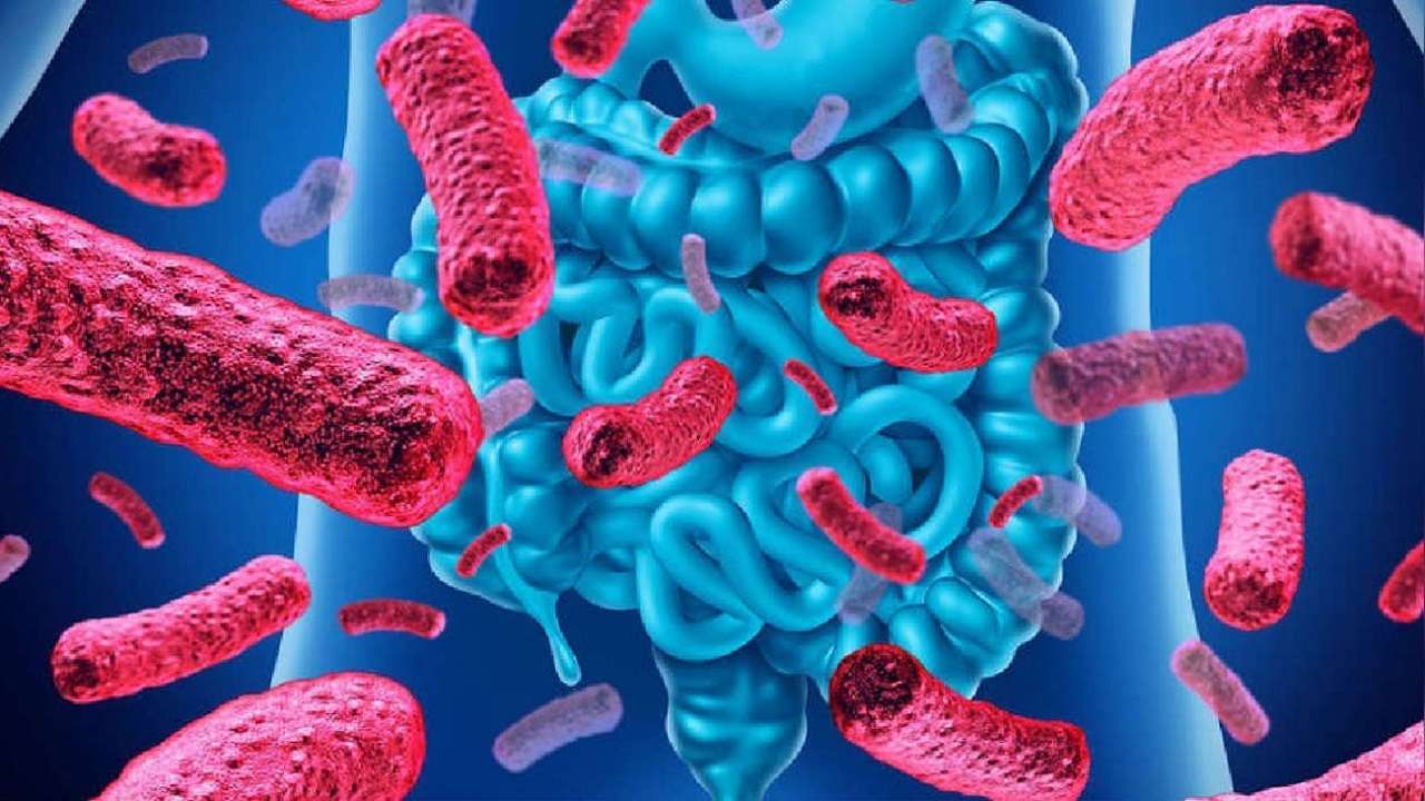 Vitamina D: conoce sus beneficios para la flora intestinal