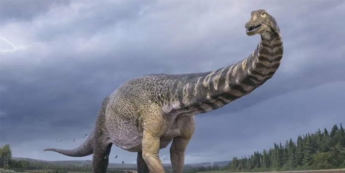 Restos de dinosaurio español