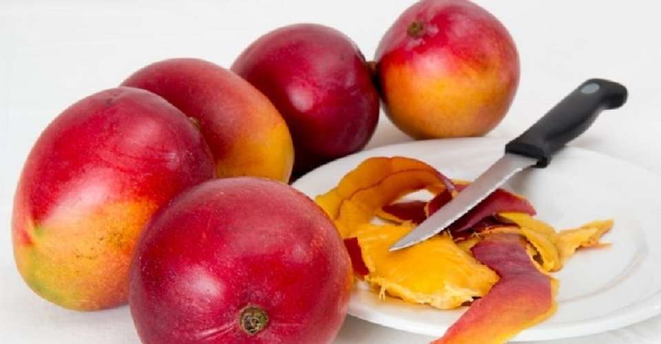 Bizcocho de mango