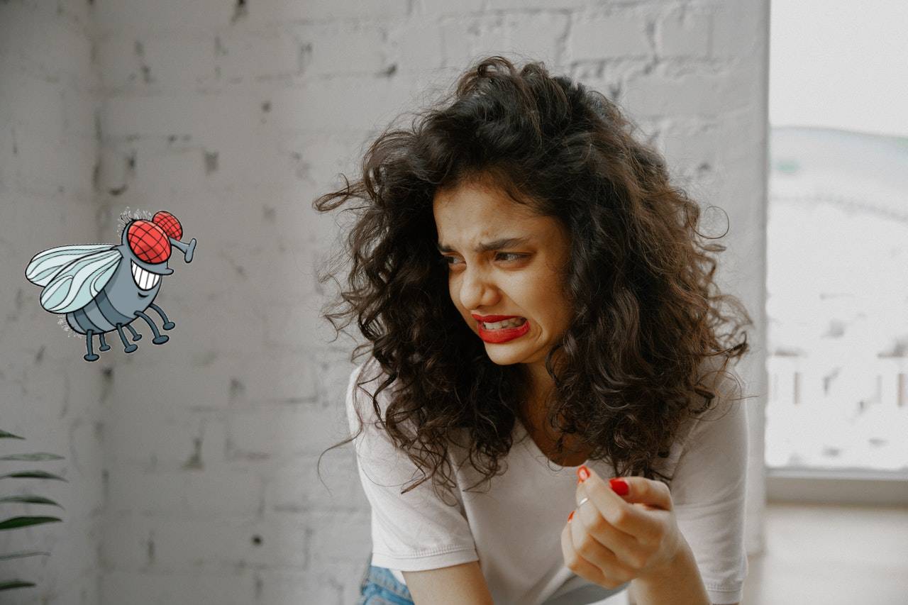 Qué hacer si una mosca se para en la comida